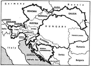 Software: Microsoft Office